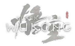Black Myth: Wukong - IGN