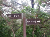 Synap Document Viewer