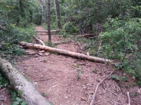 Synap Document Viewer