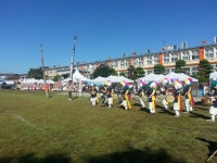 Synap Document Viewer