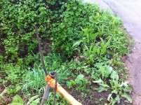 시민과의소통 > 시정에바란다