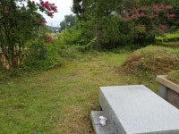 시민과의소통 > 시정에바란다