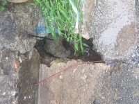 시민과의소통 > 시정에바란다