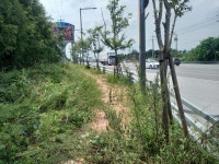 시민과의소통 > 시정에바란다