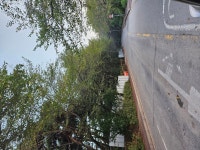 시민참여 > 시민의소리 > 시정에 바란다