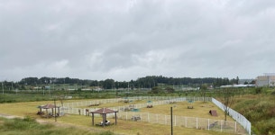 시민참여 > 시정홍보 > 행복한뉴스 > 오늘의뉴스 | 익산시, 반려동물 전용 힐링명소 선보여 글보기