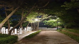 시민참여 > 시정홍보 > 행복한뉴스 > 오늘의뉴스 | 익산 배산공원 새단장, 자연과 어우러진 ‘빛의 향연’ 글보기