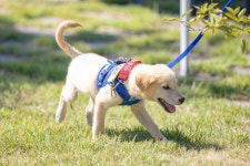 게시물 보기 페이지