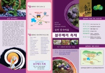 시민참여 > 시정홍보 > 익산소식 | 송천 장수마을 블루베리 축제(09.6.12-14) 글보기