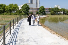 시민참여 > 시정홍보 > 행복한뉴스 > 포토뉴스 | 송학초등학교 통학로 개설공사 현장행정 글보기