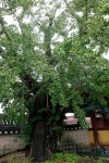 테마여행 > 익산둘레길여행 > 미륵산길