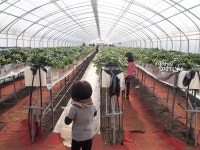 일동맘 - ILDONGMOM