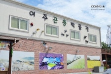 일동맘 - ILDONGMOM
