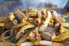 일동맘 - ILDONGMOM