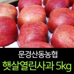 세계 3대 광천수로 만든 아임톡 런칭 [문경명품사과] 햇살열린사과 5kg(21~23과)