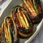세계 3대 광천수로 만든 아임톡 런칭 [해담촌] 전라도 갓김치 3kg
