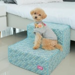 세계 3대 광천수로 만든 아임톡 런칭 [에스독] 아가타 2단계단 블루