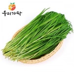 세계 3대 광천수로 만든 아임톡 런칭 [우리가락]부추 1단