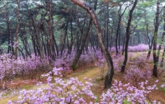 일성레저산업(주) 