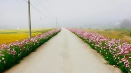 소통·참여 > 군정소식 > 읍면소식 > 전체 상세 페이지