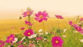 소통·참여 > 군정소식 > 읍면소식 > 전체 상세 페이지