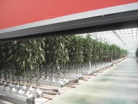 소통·참여 > 군정소식 > 읍면소식 > 전체 상세 페이지