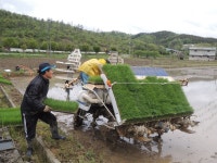 소통·참여 > 군정소식 > 읍면소식 > 전체 상세 페이지