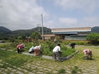 소통·참여 > 군정소식 > 읍면소식 > 전체 상세 페이지