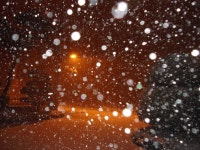 임실군 > 신덕면 > 새소식 > 공지사항