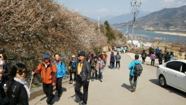 소통·참여 > 군정소식 > 읍면소식 > 전체 상세 페이지