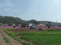 임실군 > 신평면 > 새소식 > 공지사항