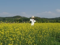 임실군 > 신덕면 > 새소식 > 공지사항