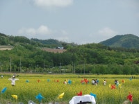 임실군 > 운암면 > 새소식 > 공지사항