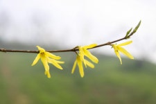 임실군 > 관촌면 > 새소식 > 포토갤러리