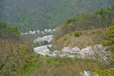 임실관광 > 임실명소 상세 페이지 : 임실군 문화관광