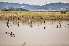 우리가 알던, 잊고 있던 소. 래. | 굿모닝인천 우리가 알던, 잊고 있던 소. 래.