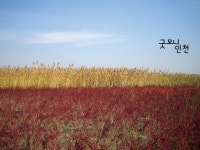스러진 소금창고의 기억 | 굿모닝인천 스러진 소금창고의 기억