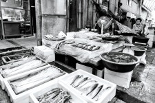 인천을 향한, 특별한 시선 | 굿모닝인천 인천을 향한, 특별한 시선