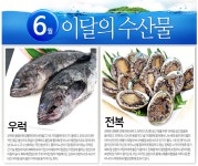 홈>정보마당>이달의 수산물 > 2018년 6월 어식백세 수산물 우럭, 전복 | 수산자원연구소