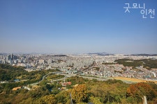 홈>지난호 보기>지난호 보기 | 굿모닝인천