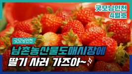 새로운 출발-남촌농산물도매시장 | 굿모닝인천