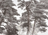 홈>공연·전시>전시>전시일정 | 문화예술회관