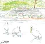 컬러링 인천 | 굿모닝인천 컬러링 인천