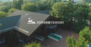 홈>열린마당>공지사항 > 야생동물구조관리센터 소개 영상 | 보건환경연구원