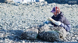 골목 TMI ⑩ 영흥도 둘레길 | 굿모닝인천 골목 TMI  ⑩ 영흥도 둘레길