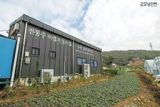 골목길 TMI- 부평구 열우물마을 | 굿모닝인천  골목길 TMI-  부평구 열우물마을