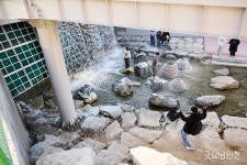 컬러링 인천 | 굴포천 | 굿모닝인천 컬러링 인천 | 굴포천