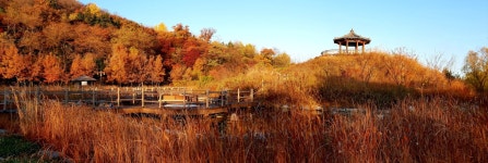 홈>알림 마당>포토 광장>월미공원 | 인천의 공원