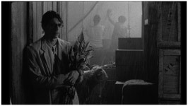 Cannes 2024 Predictions: 30 Movies We Hope Make the Cut Cannes Wish List: 30 Movies We Hope Make the Cut in 2024