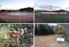 투데이 인제 | 인제대학교 인제대학교